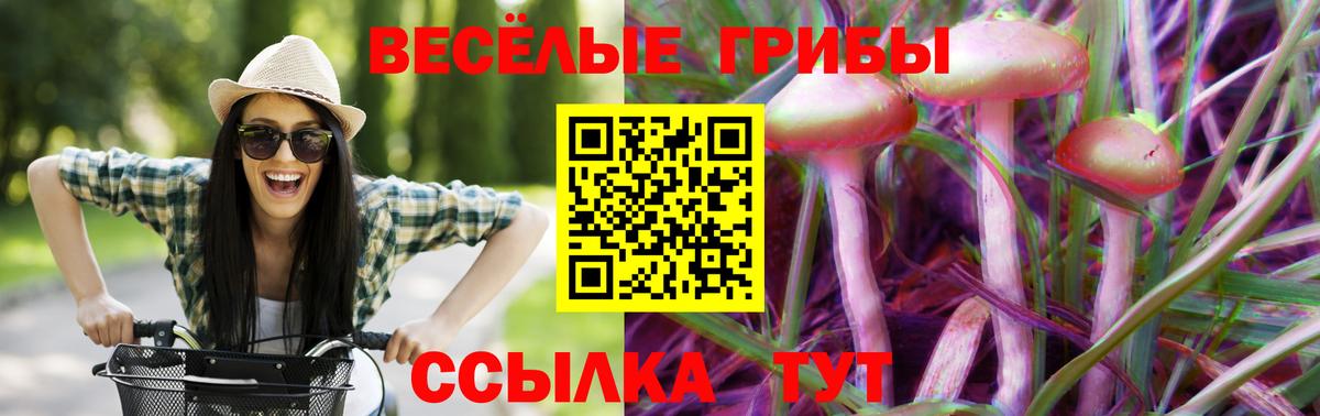 Тобольск  Галлюциногенные грибы прущие грибы  Вход с VPN 